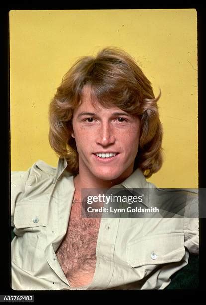 462 Andy Gibb Photos Stock Photos & High